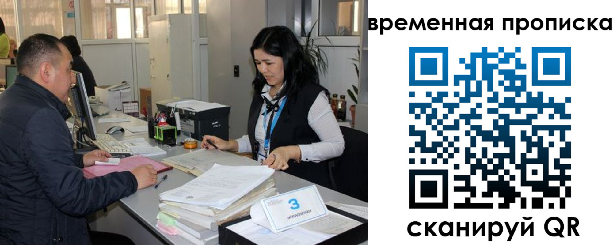 временная регистрация поиск в Марий Эл